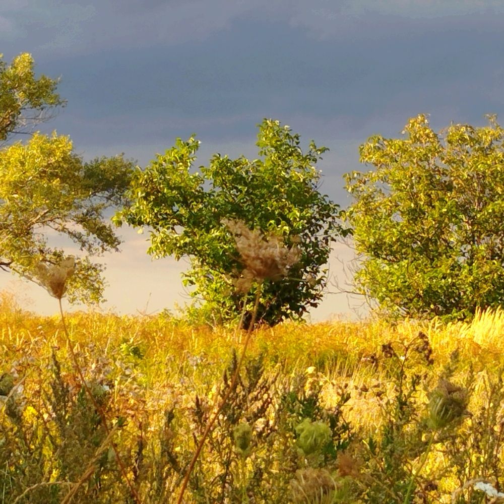 Photograph by Виктория Дудкина
