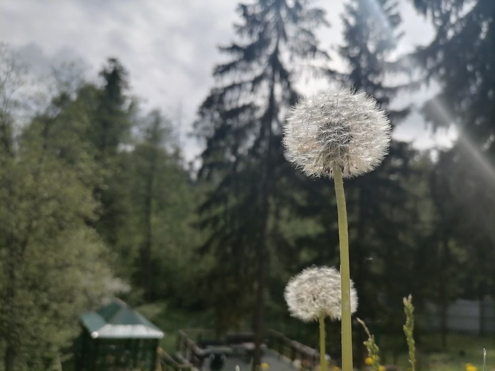 Фотография автора Андрей