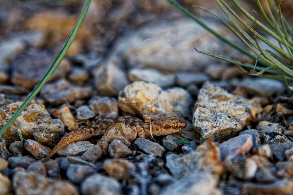 Photograph by Мария Заболотная