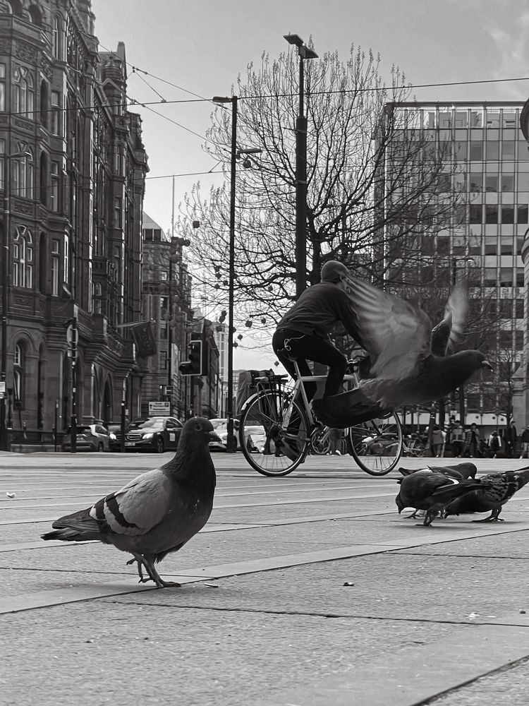 Фотография автора Jelena Bazenova