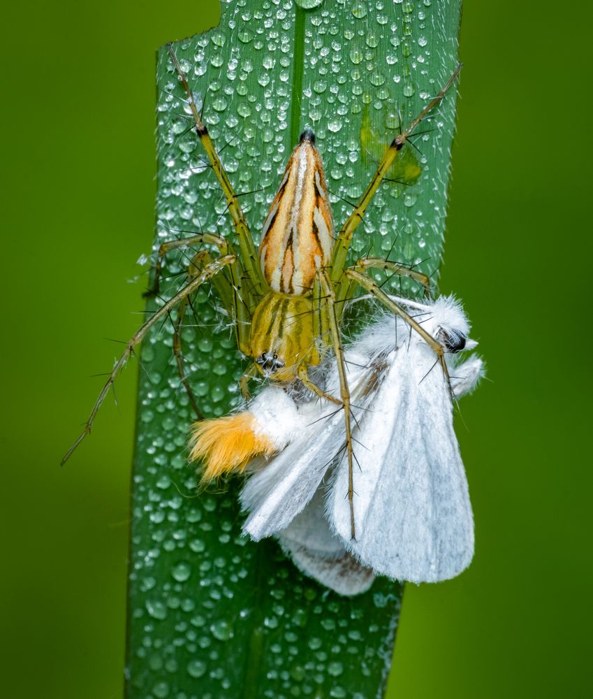 Photograph by Rachana madhav