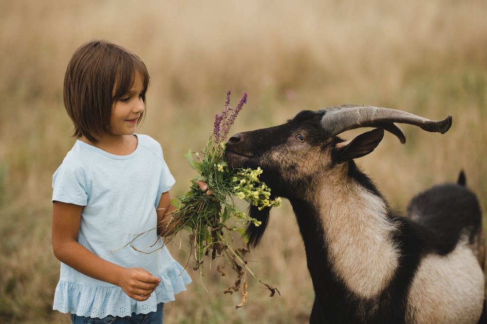 Photograph by Мария Калачева