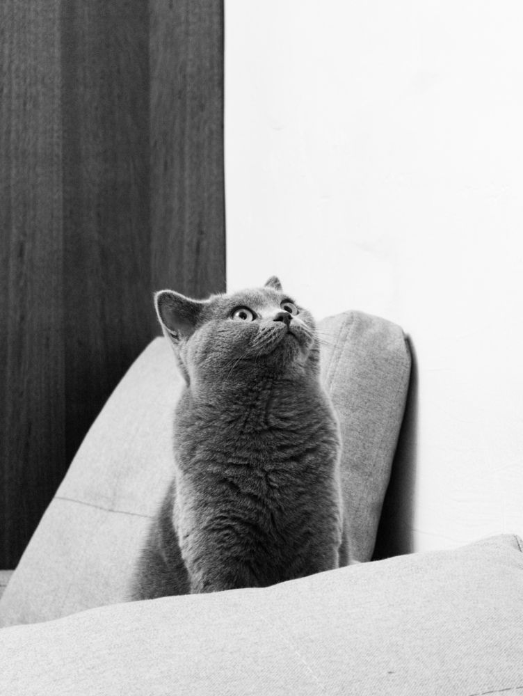 Photograph by Hayk Mkrtchyan