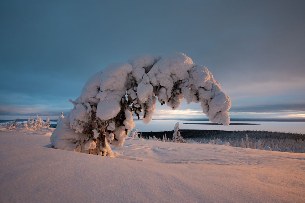 Фотография автора Перевозчиков Андрей