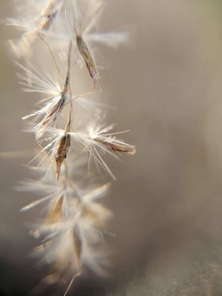 Photograph by Karolina Żółtowska