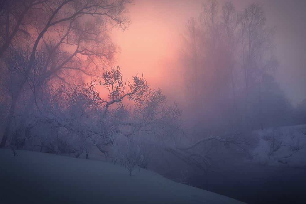 Photograph by Елена Гусева