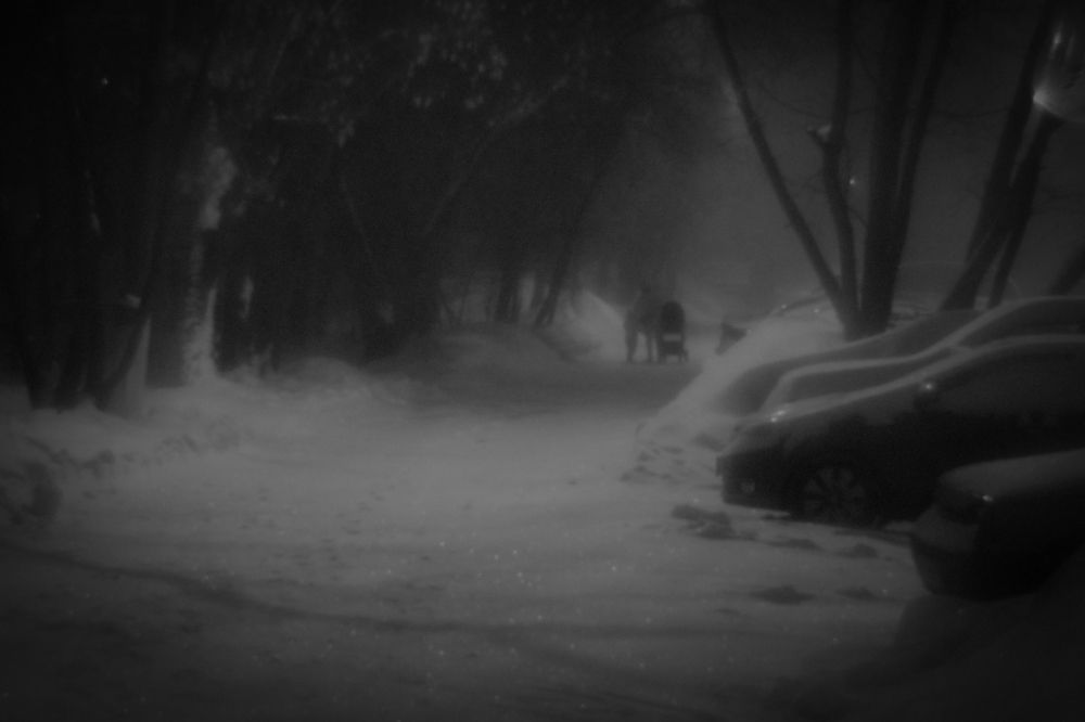Photograph by Алексей Закхеев