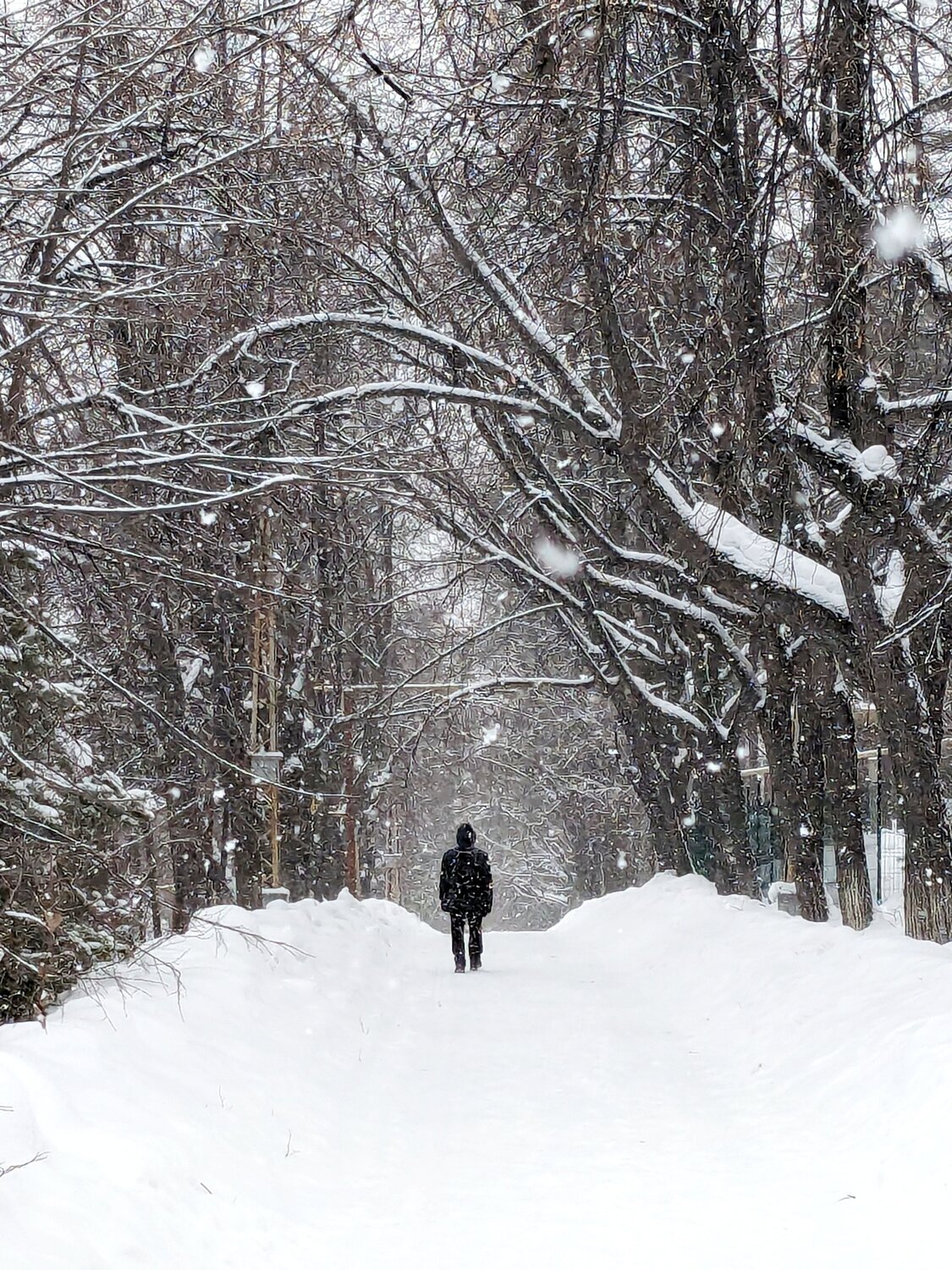 Photo #10363406
