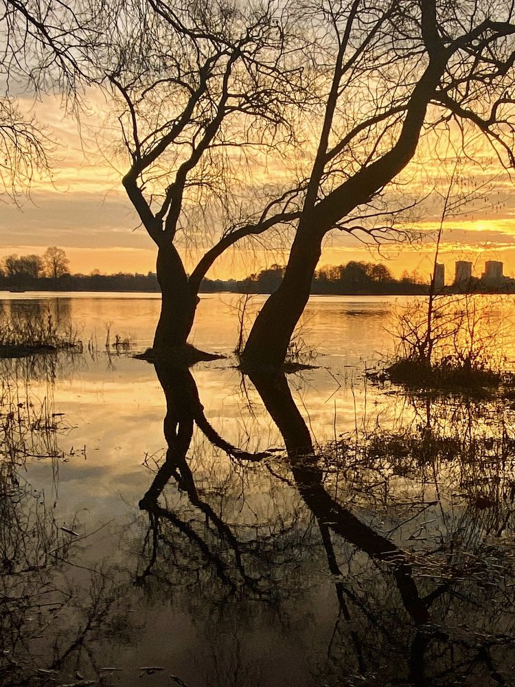 Разлив. Отражение