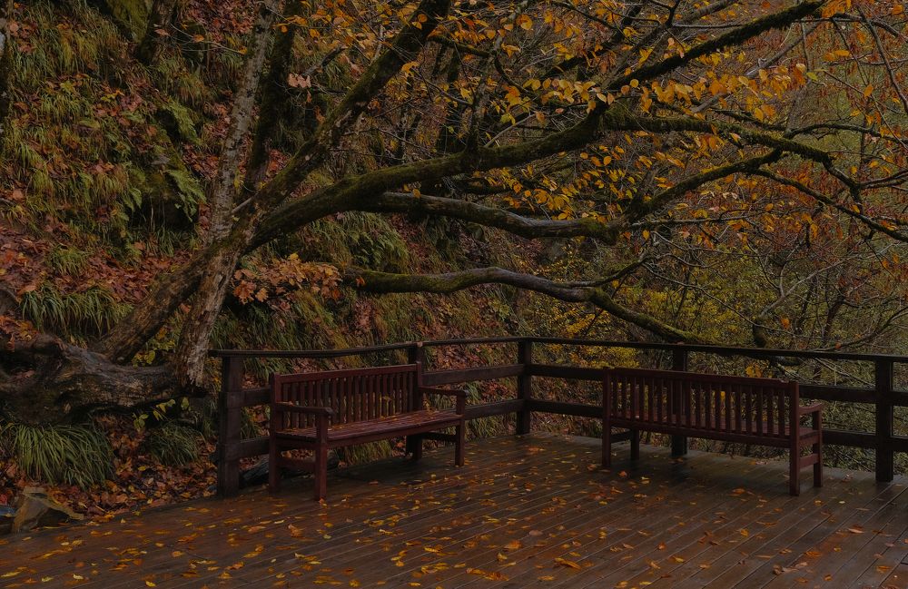 Photograph by Александр Козлов