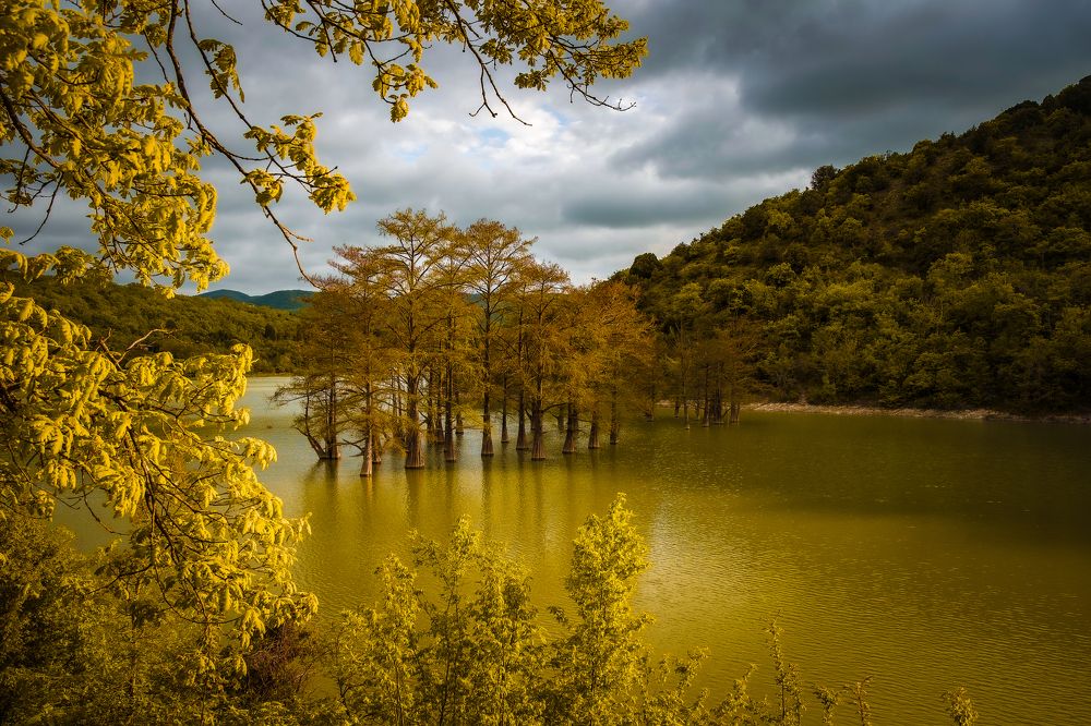 Photograph by Алексей Шевченко