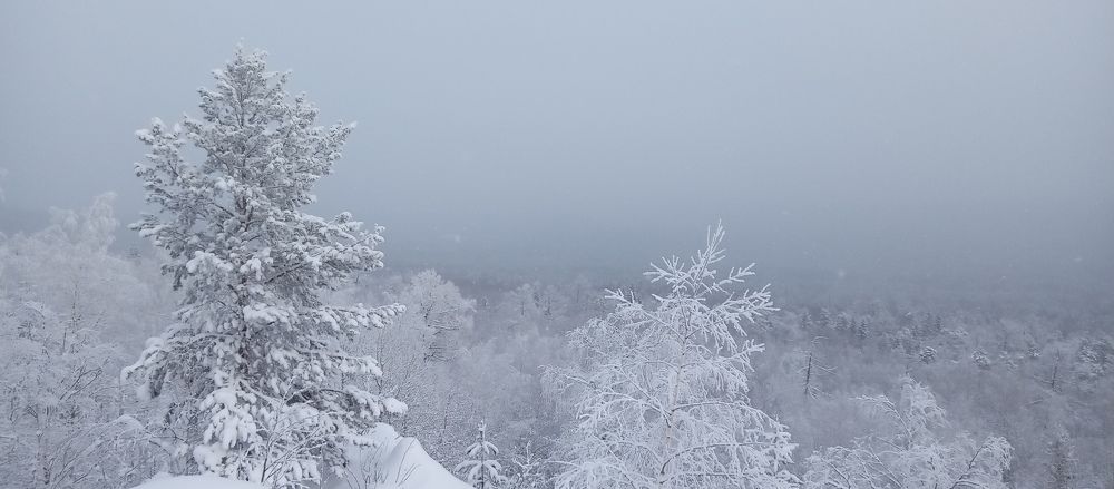 Photograph by Михаил Ананьин