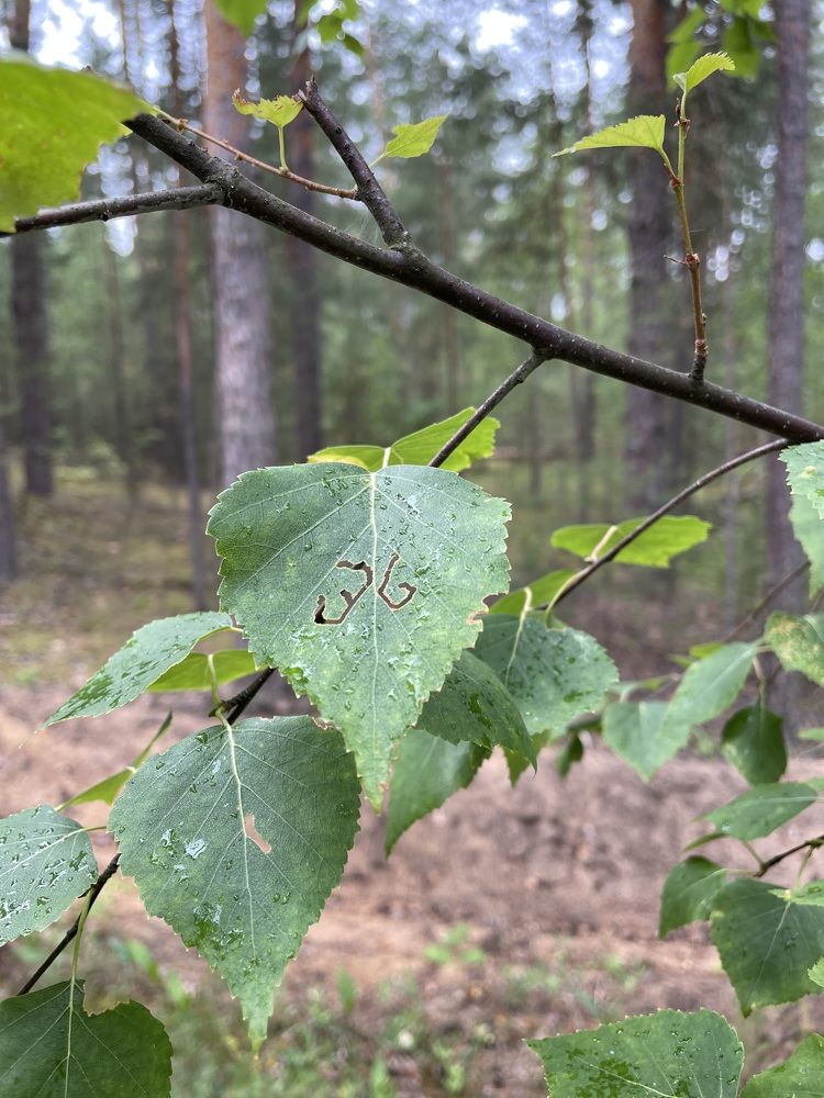 Photograph by Олег