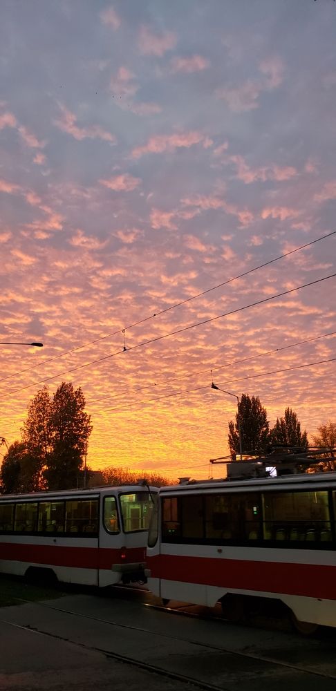 Фотография автора Алексей