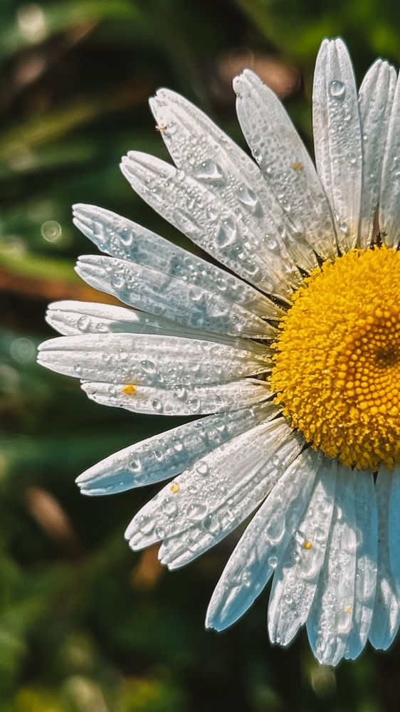 Photograph by Александра Соловьева