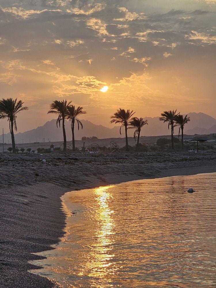 Photograph by Эдмунд Рандал