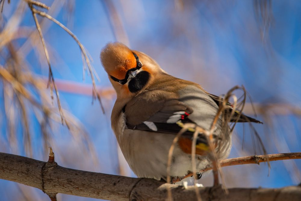 Photograph by Едынак Евгений