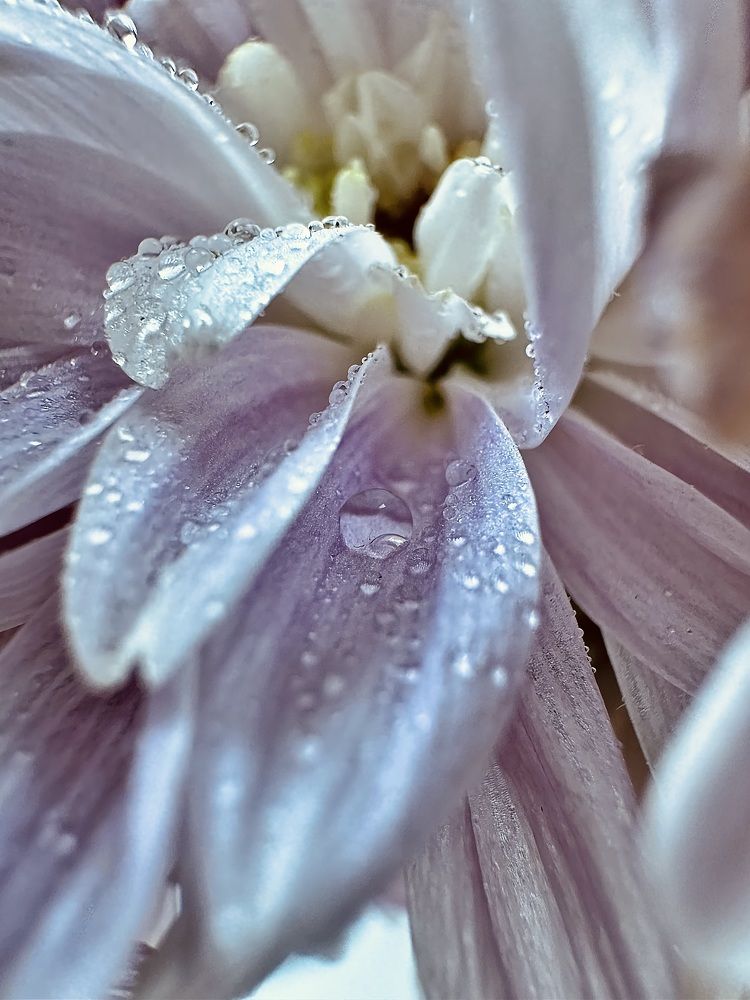 Photograph by Диана Бадеева