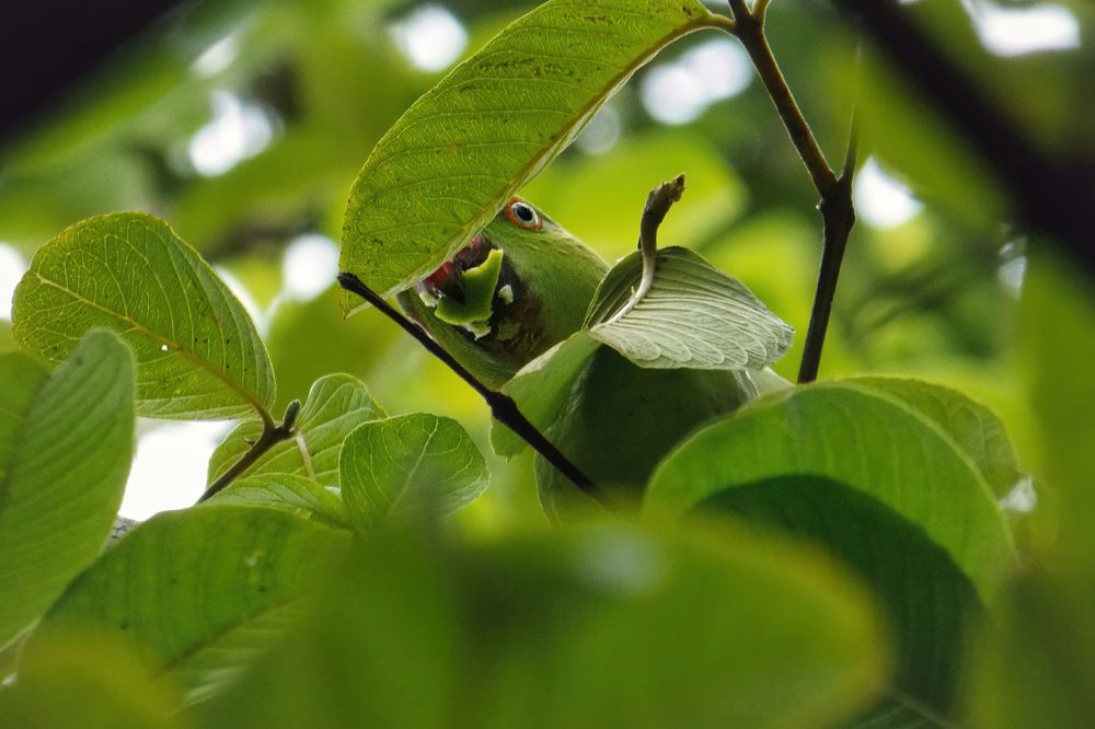 Photograph by Rachna Rajput