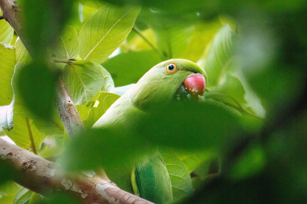 Photograph by Rachna Rajput