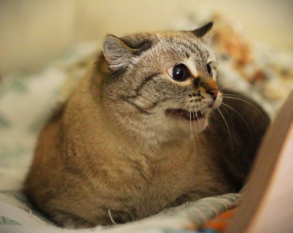 Photograph by Любовь Иванова