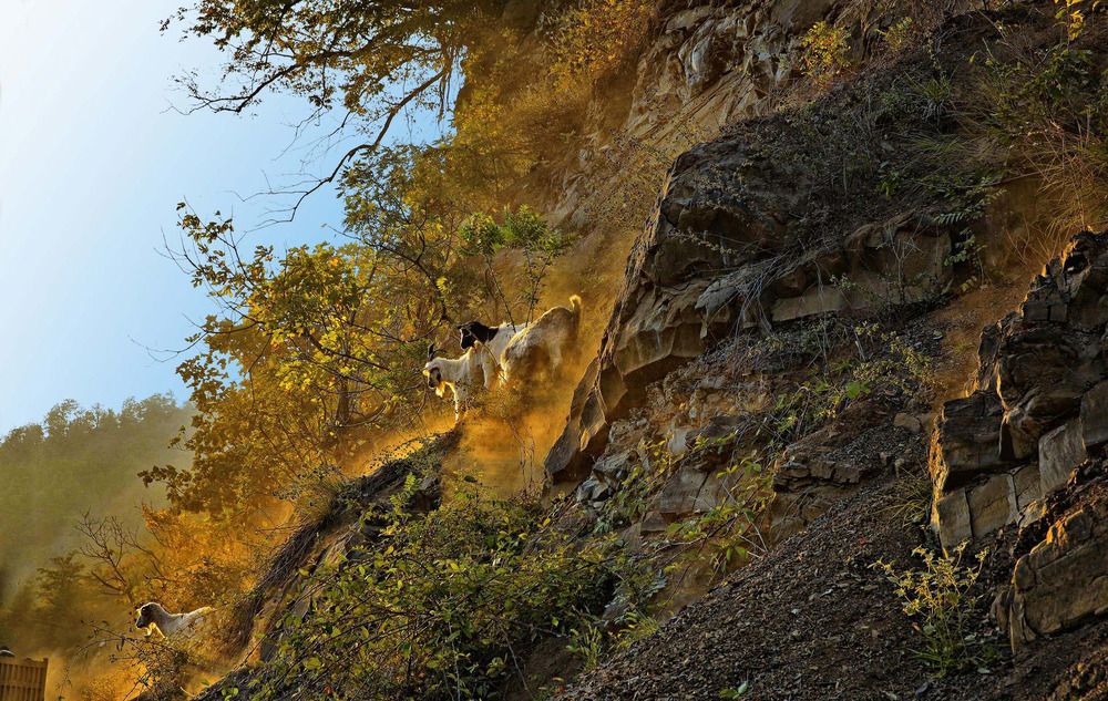 Photograph by Sikhaliyev Elkhan