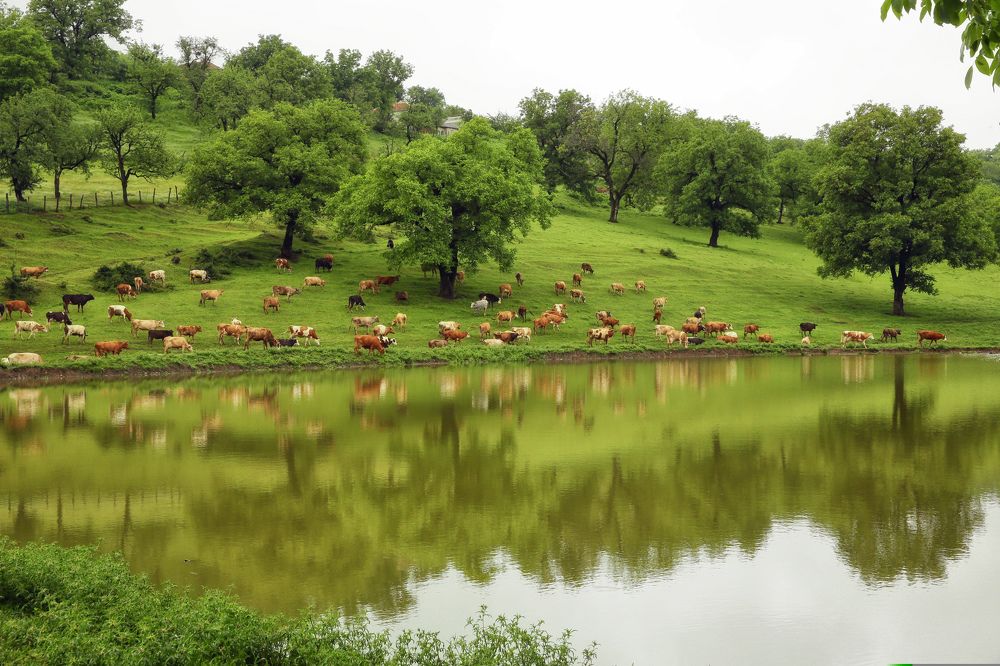 Photograph by Sikhaliyev Elkhan