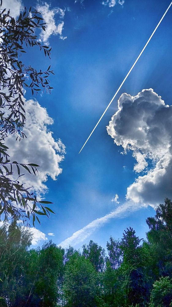 Photograph by Владимир Гречанинов