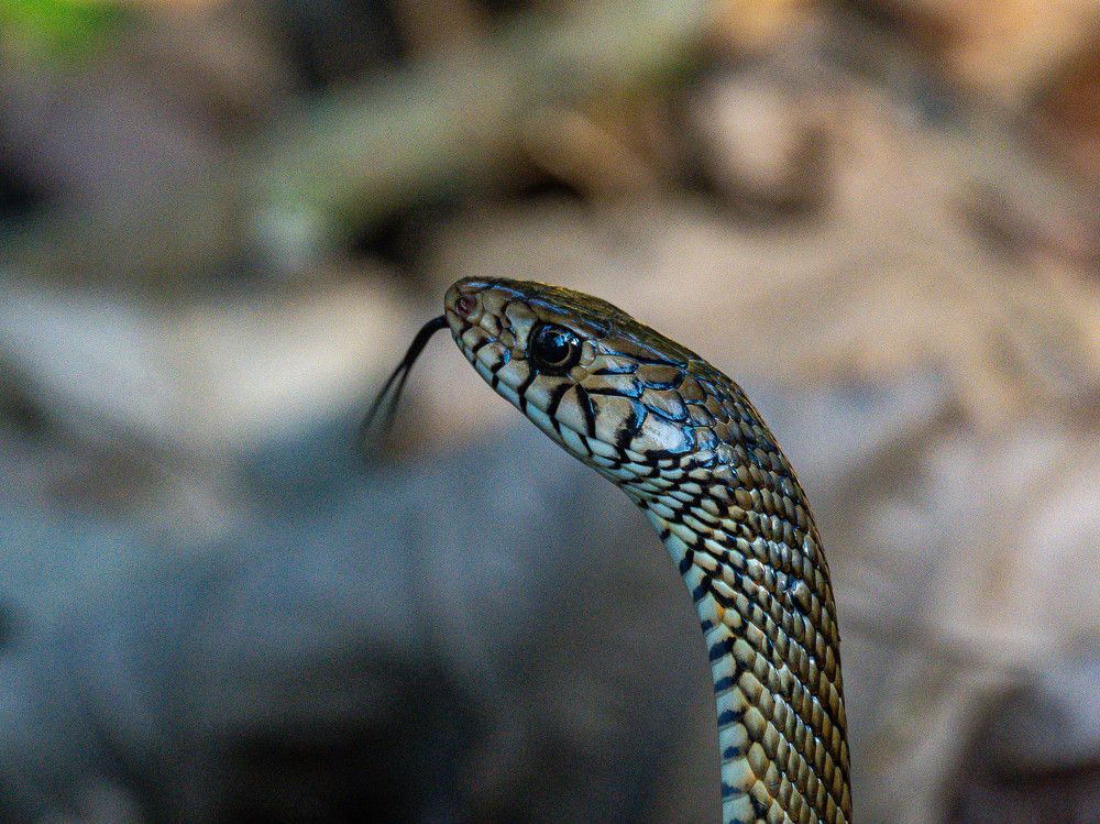 Photograph by Sahil K