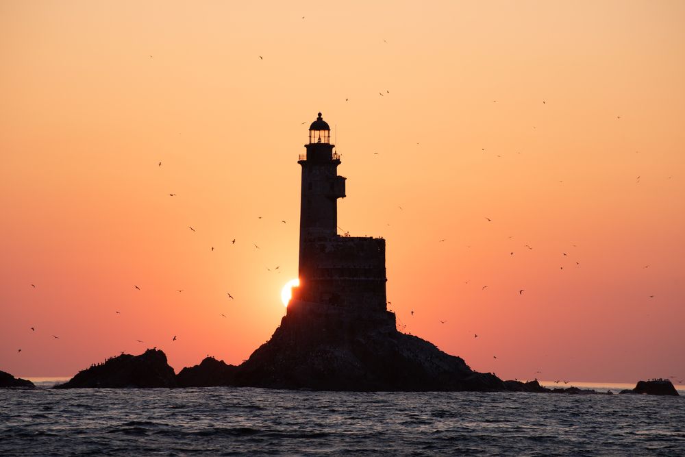 Photograph by Светлана Головачева