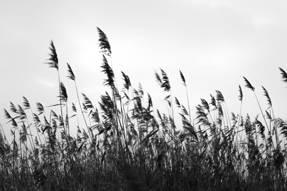 Photograph by Роман Закиров