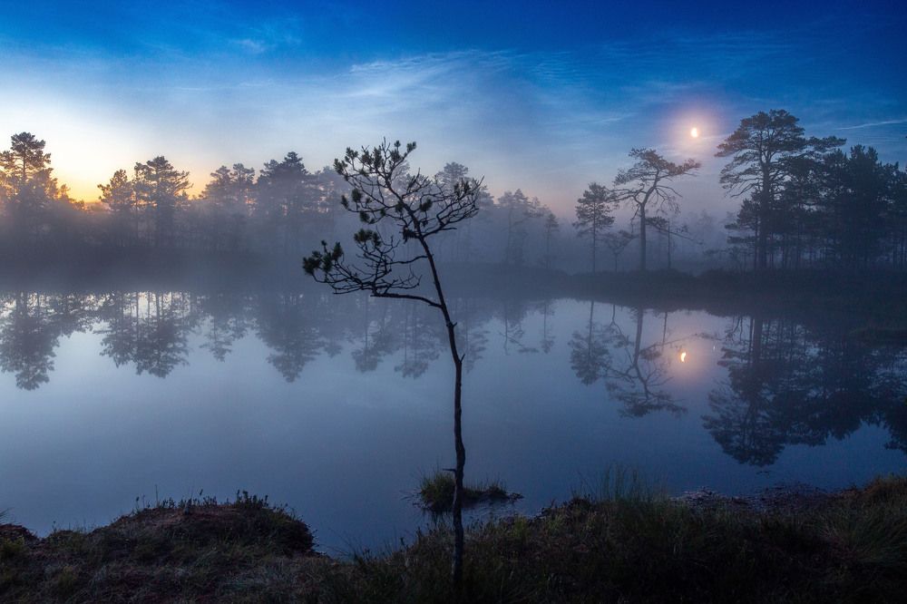 Photograph by Andres Papp