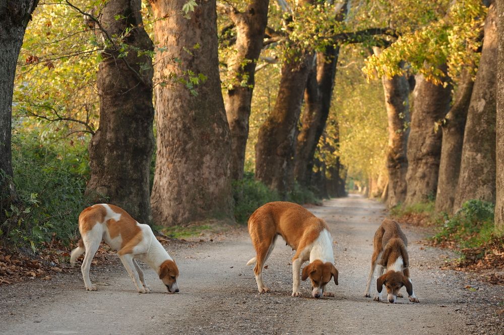 Photograph by Tayfun Karahasan
