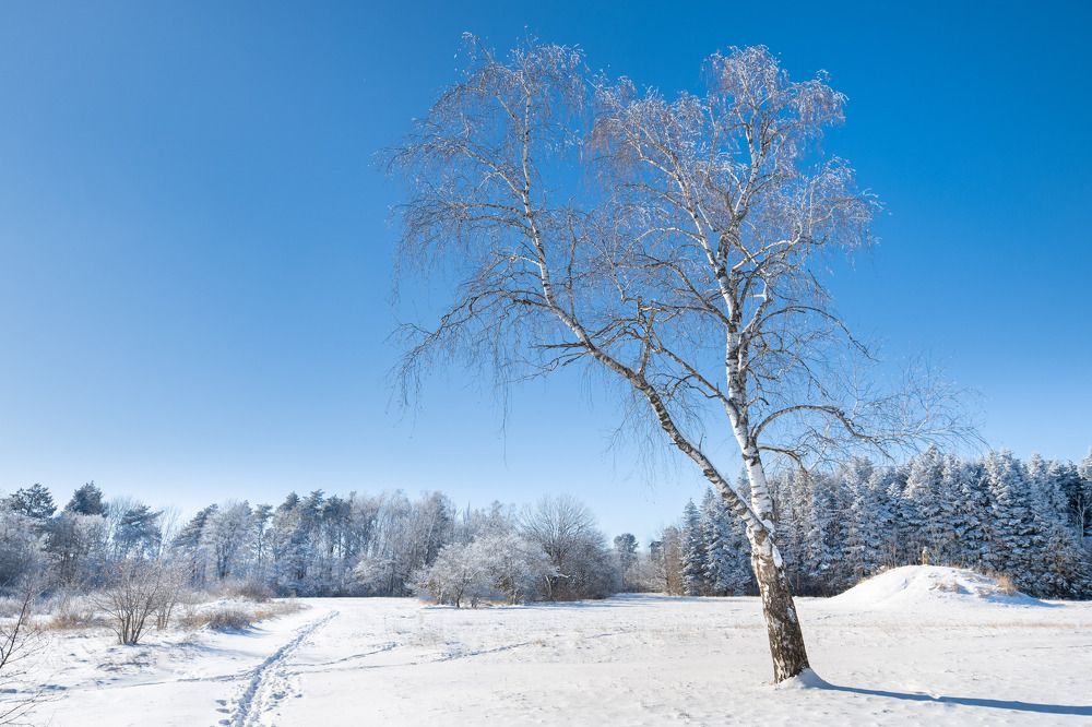 Photograph by Антон Скоморохов
