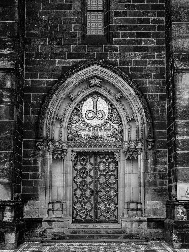 Photograph by Dana Shelkovnikova