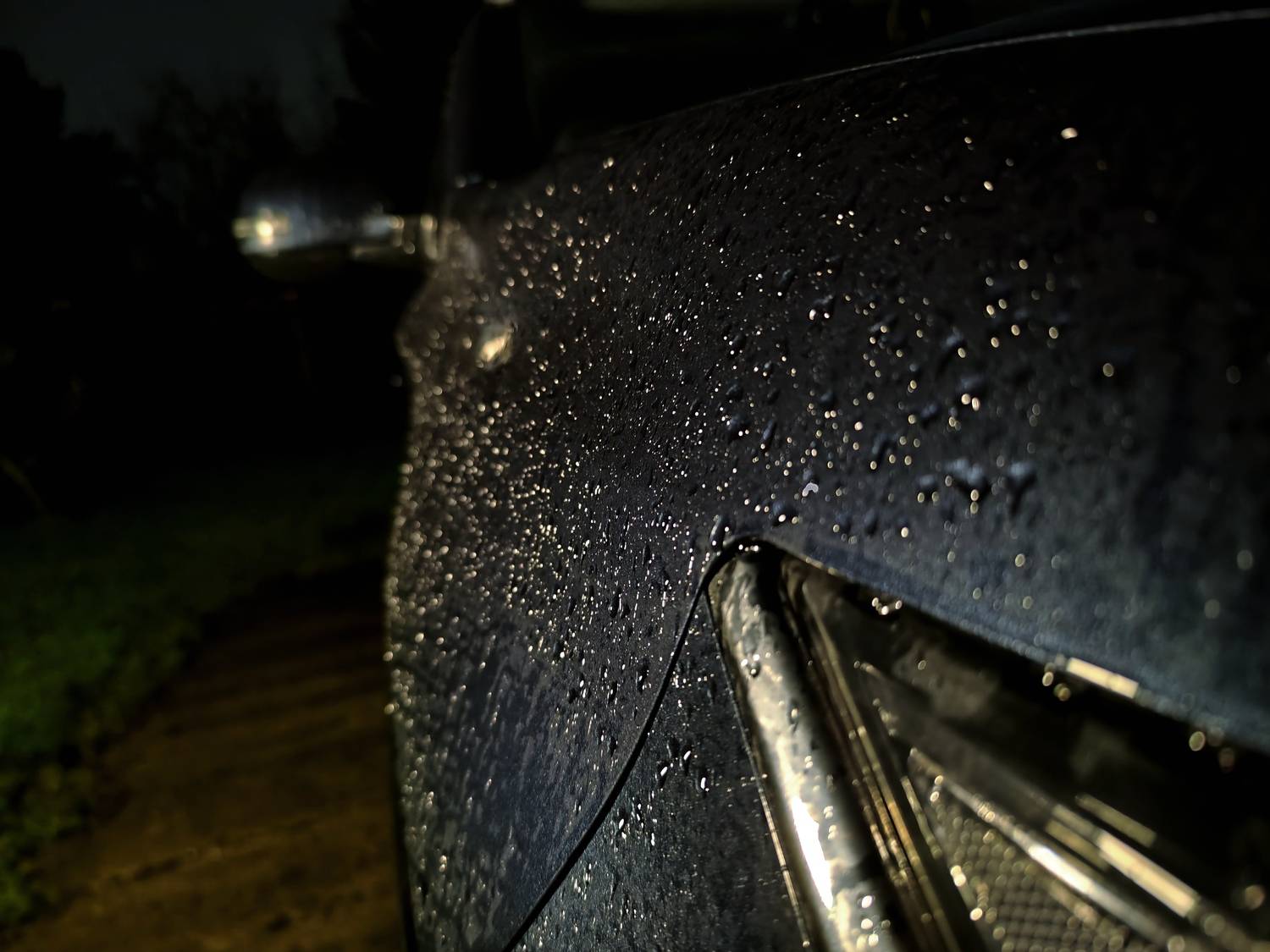 Photo #10363852