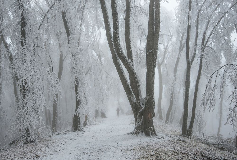 Photograph by Хасан Журтов