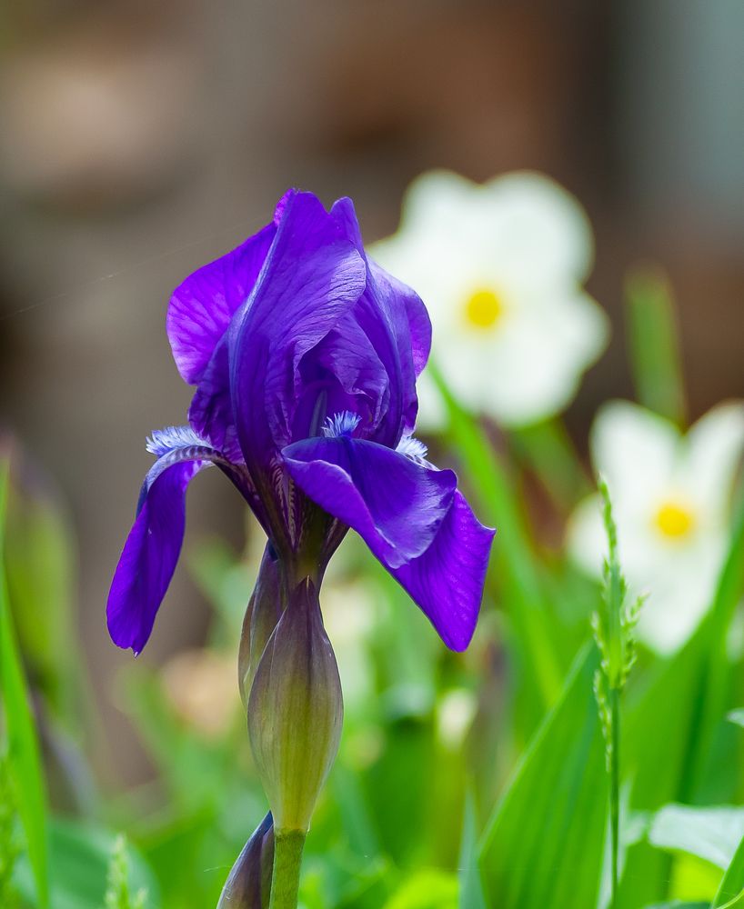 Фотография автора Олег Анатольевич Загорулько