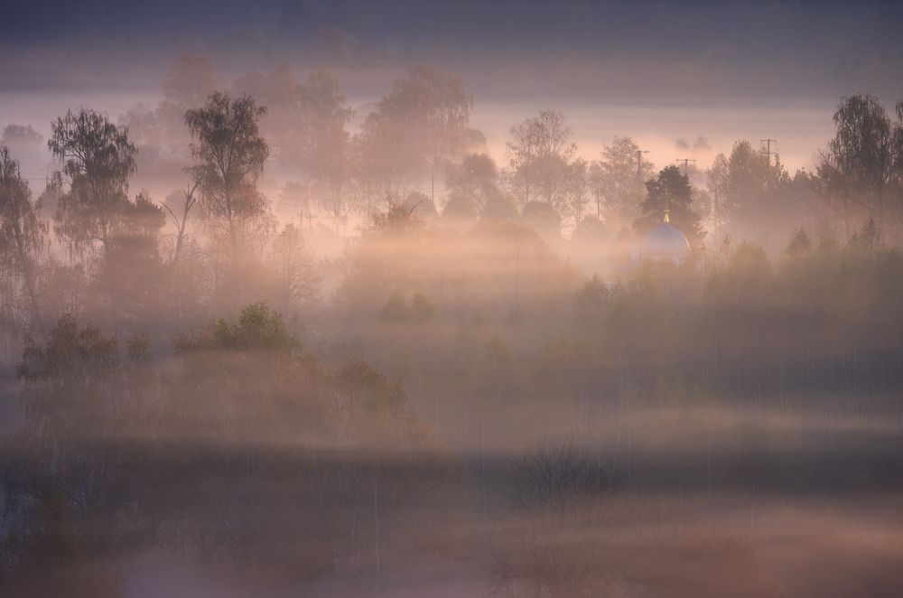 Photograph by Левыкин Виталий