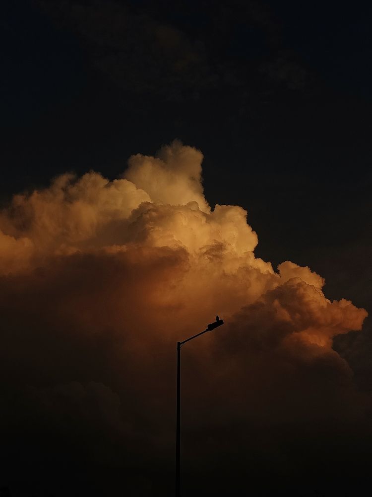 Photograph by Technical Sharma