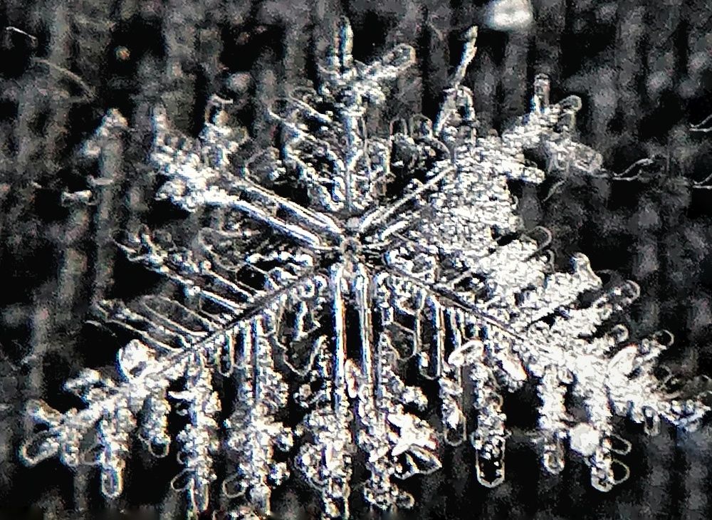 Photograph by Екатерина Абросова