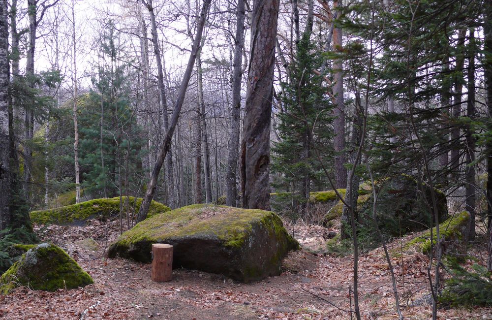 Photograph by Людмила Федорчак