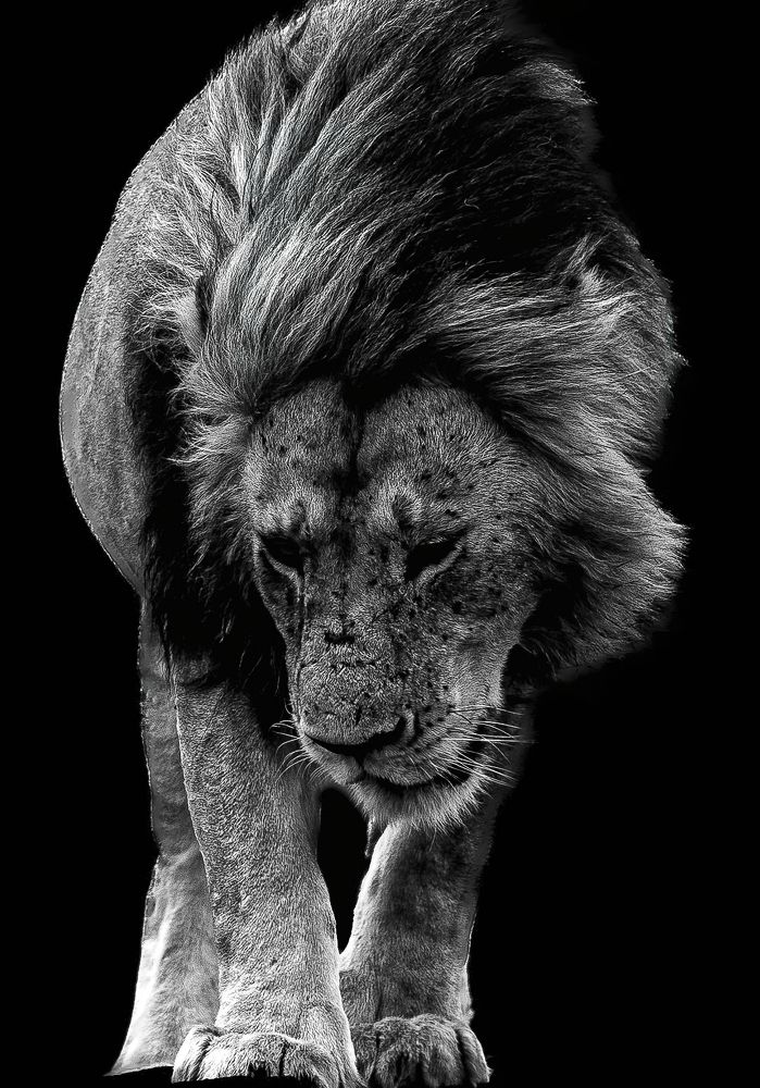 Фотография автора Rajharsha Narayanswamy Narayanswamy