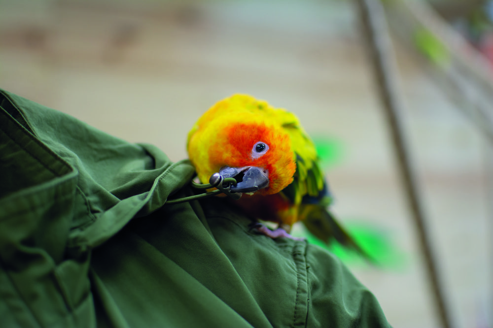 Photograph by Татьяна Огаркова