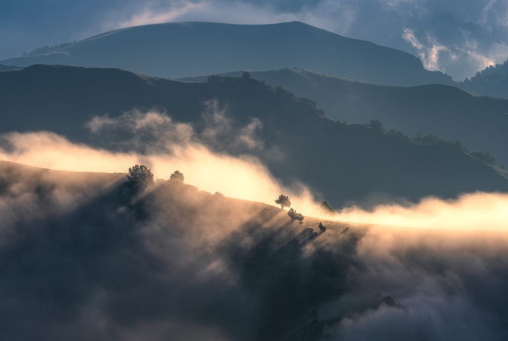 Photograph by Левыкин Виталий