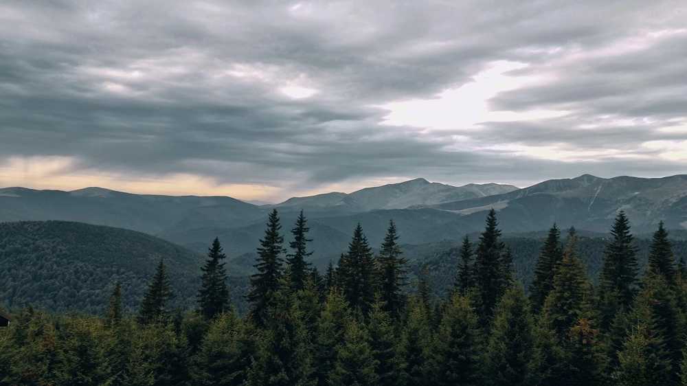 Photograph by Cosmin Coltan