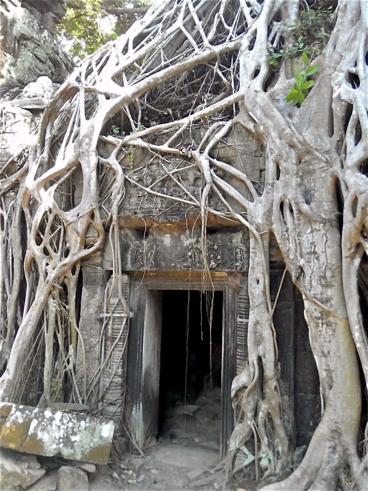 Фотография автора Gala Timaeva