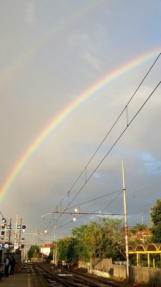 Photograph by Debora