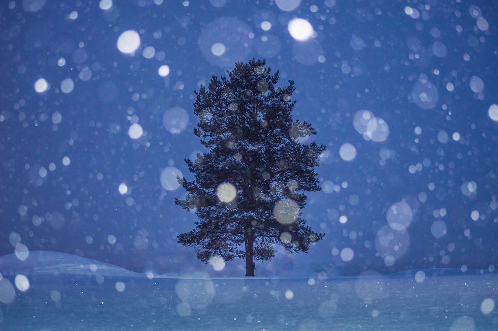 Photograph by Mysov Ivan