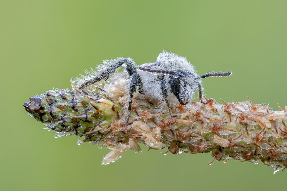 Photograph by Глеб Коровко